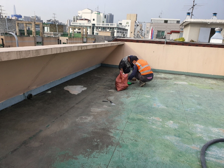 22249_copy_22255_1948697120_rEBzuate_775f20523ac9abd273ee0df886e29fac66ac6cf0.jpg 이미지크게보기