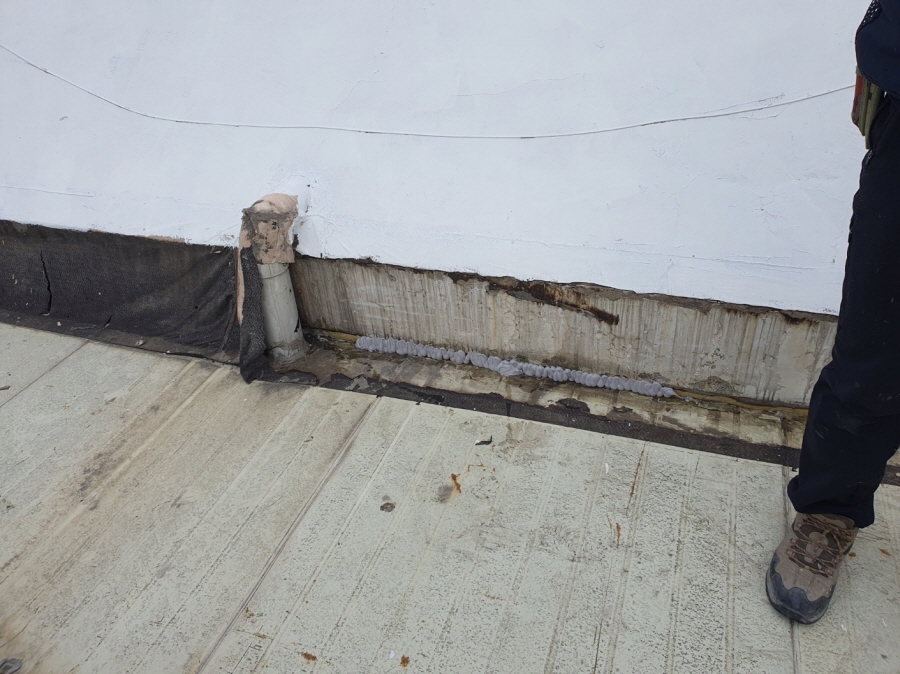 22250_copy_22256_1948697120_rF1kbwVx_278289f73adc4bbe4c985144555ba6b575d132a7.jpg 이미지크게보기